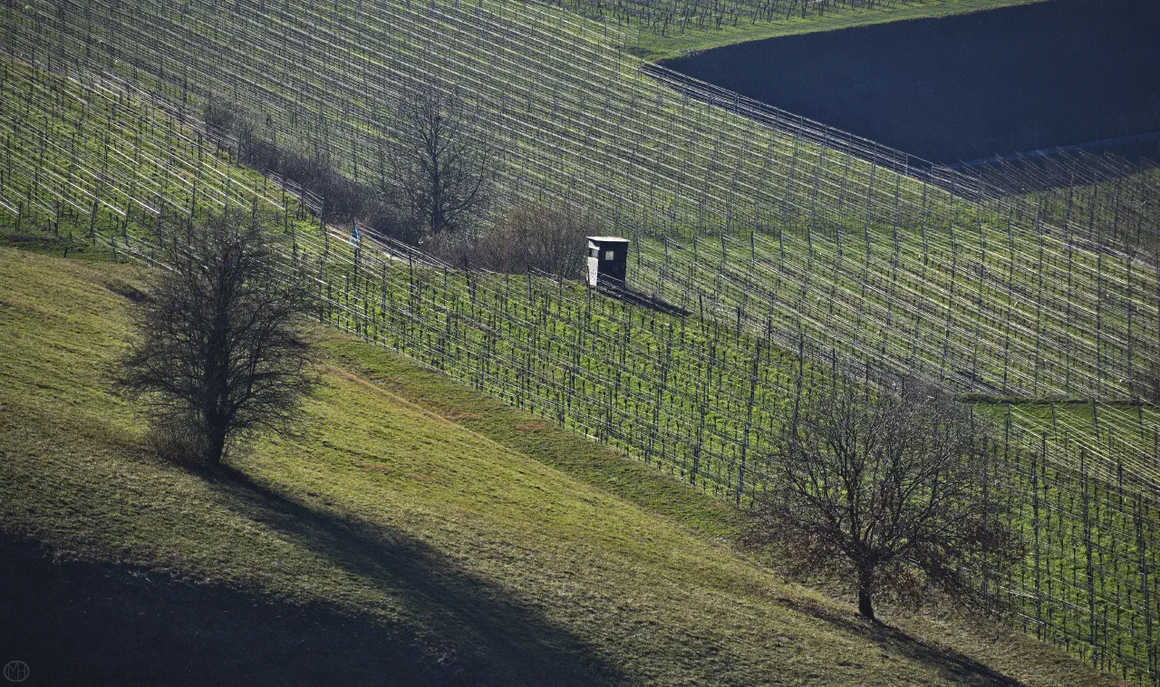 The Fifty Shades of Regenerative