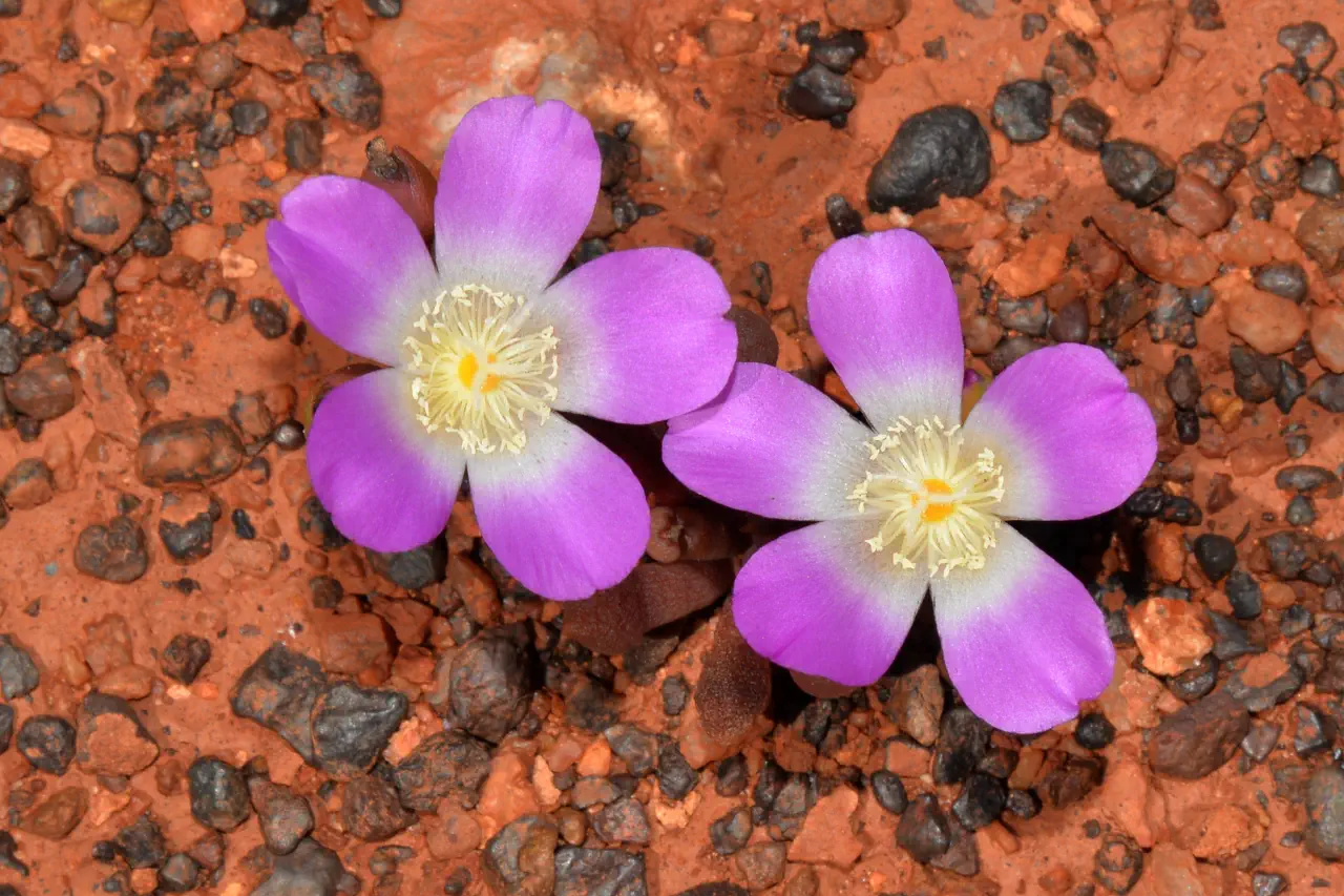 Investing in Outcomes