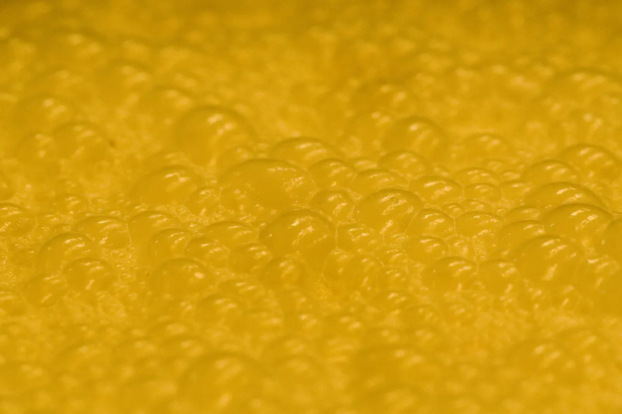 Fermentation as a Revolutionary Act