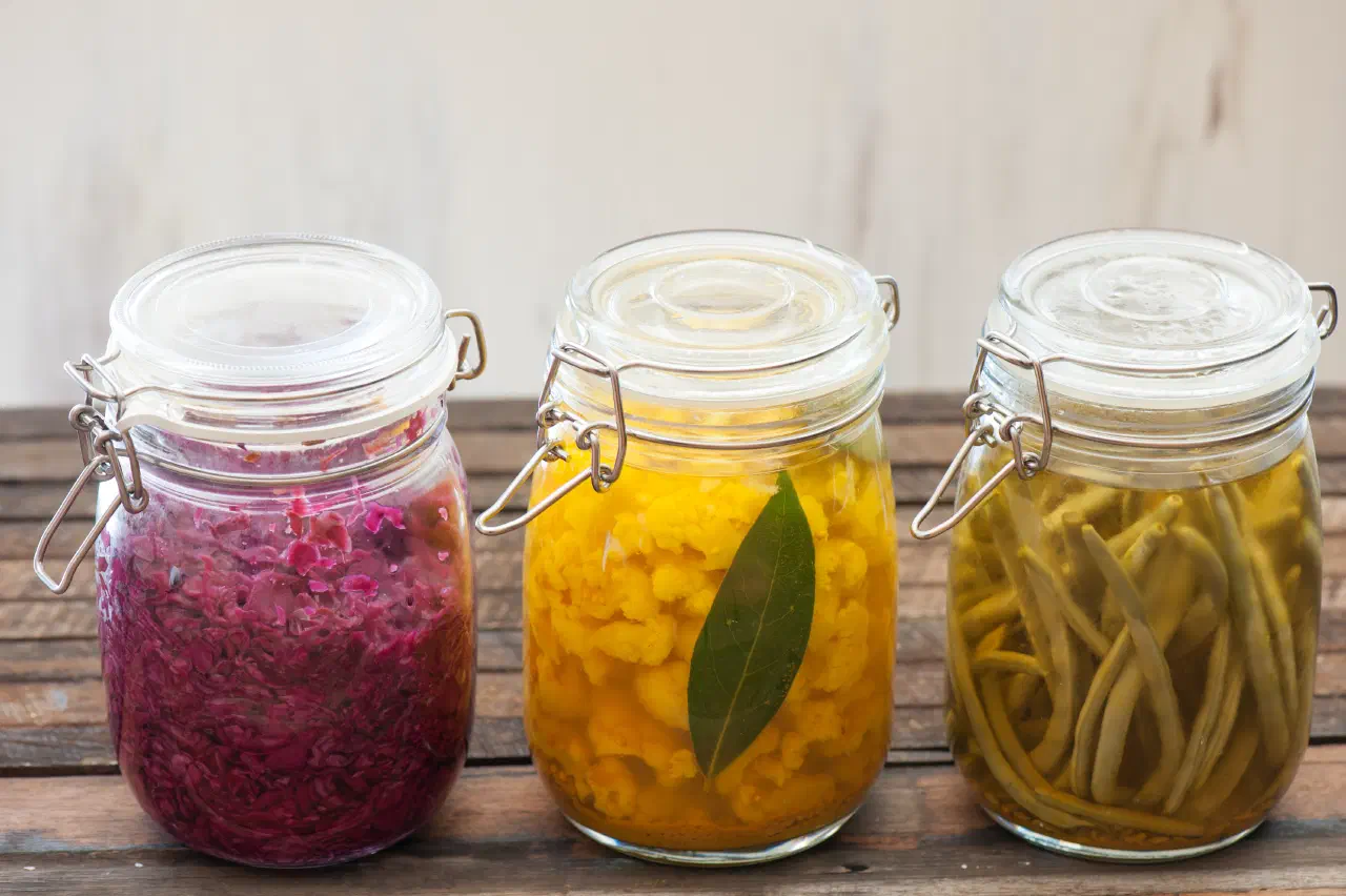 The Intelligence in the Jar