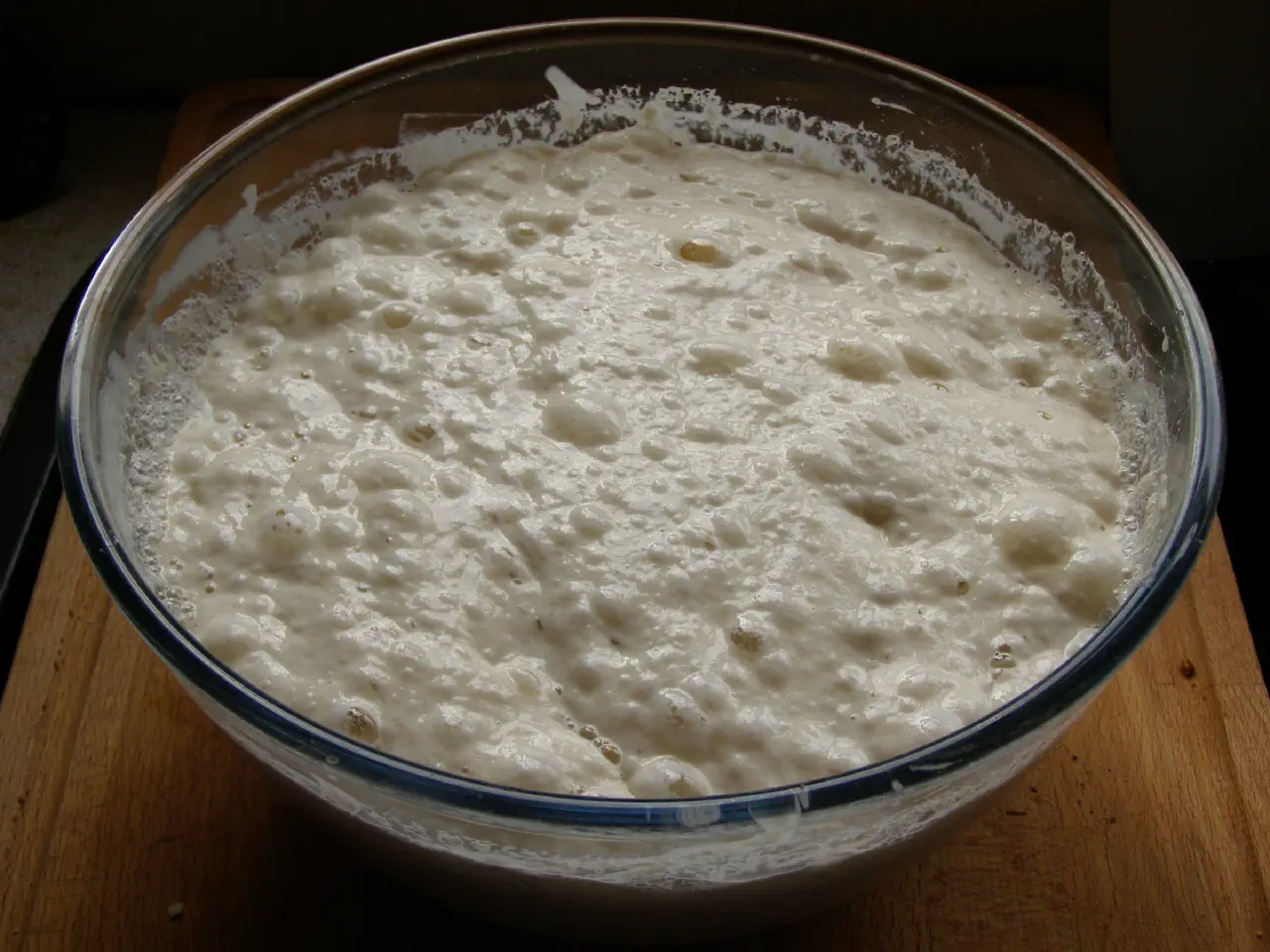The Sourdough Keeper: A Starter Companion